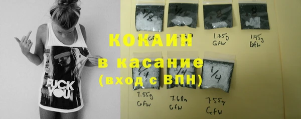 ПСИЛОЦИБИНОВЫЕ ГРИБЫ Абаза