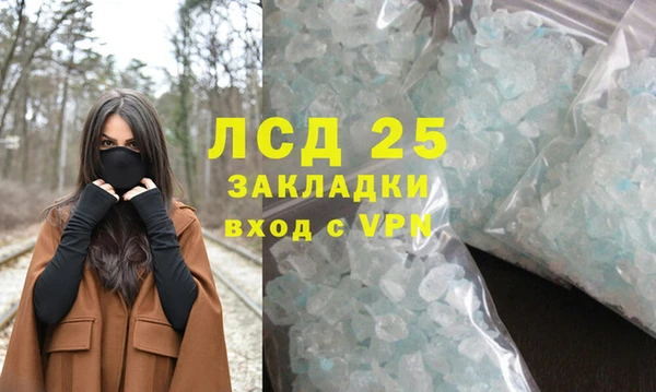 ПСИЛОЦИБИНОВЫЕ ГРИБЫ Абаза