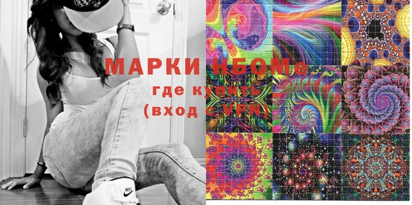 ПСИЛОЦИБИНОВЫЕ ГРИБЫ Абаза