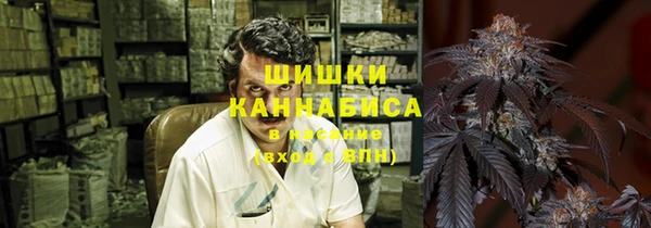 ПСИЛОЦИБИНОВЫЕ ГРИБЫ Абаза