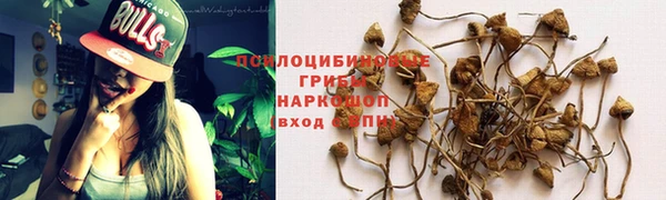 apvp Абдулино