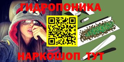 прущие крисы Кунгур