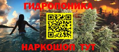 прущие крисы Кунгур