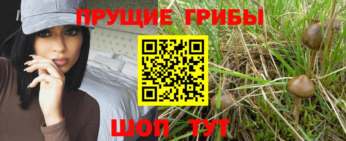 ГЕРОИН  МЕФ  КОКАИН  Вход с VPN  Гашиш  LSD-25  Мефедрон кристаллы  Хасавюрт  NBOMe  МАРИХУАНА 